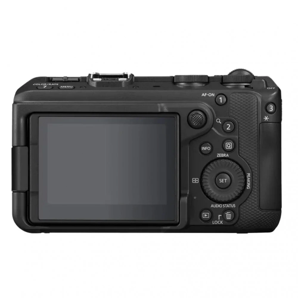 Фотоаппарат Canon EOS R6 V BODY V2.4 7250C018AA