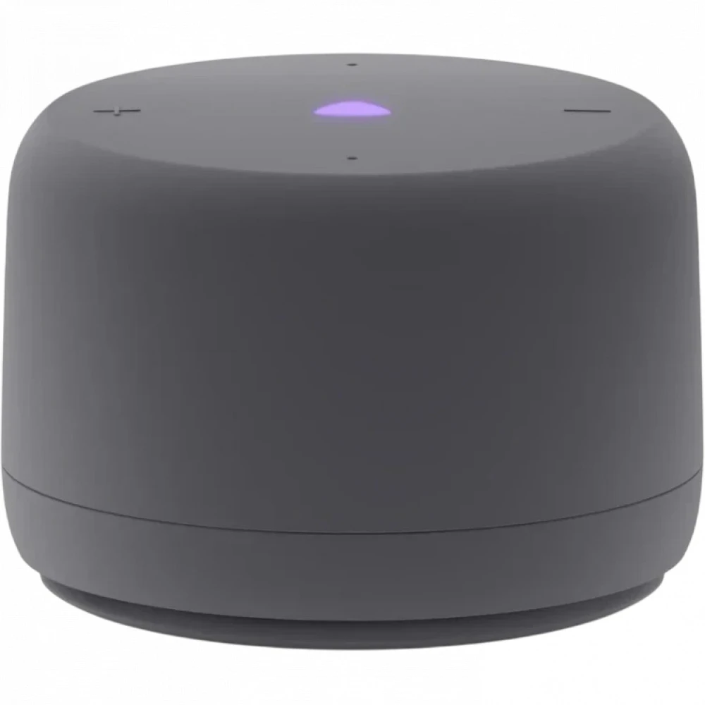 Яндекс Станция Лайт 2 без часов Графит YNDX-00028GRY