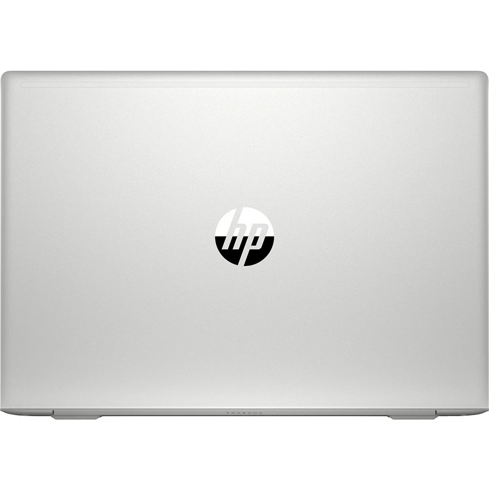Ноутбук HP ProBook 455 G7 1L3H0EA 15.6 ", FHD 1920x1080 (16:9), Ryzen 7, 8 Гб