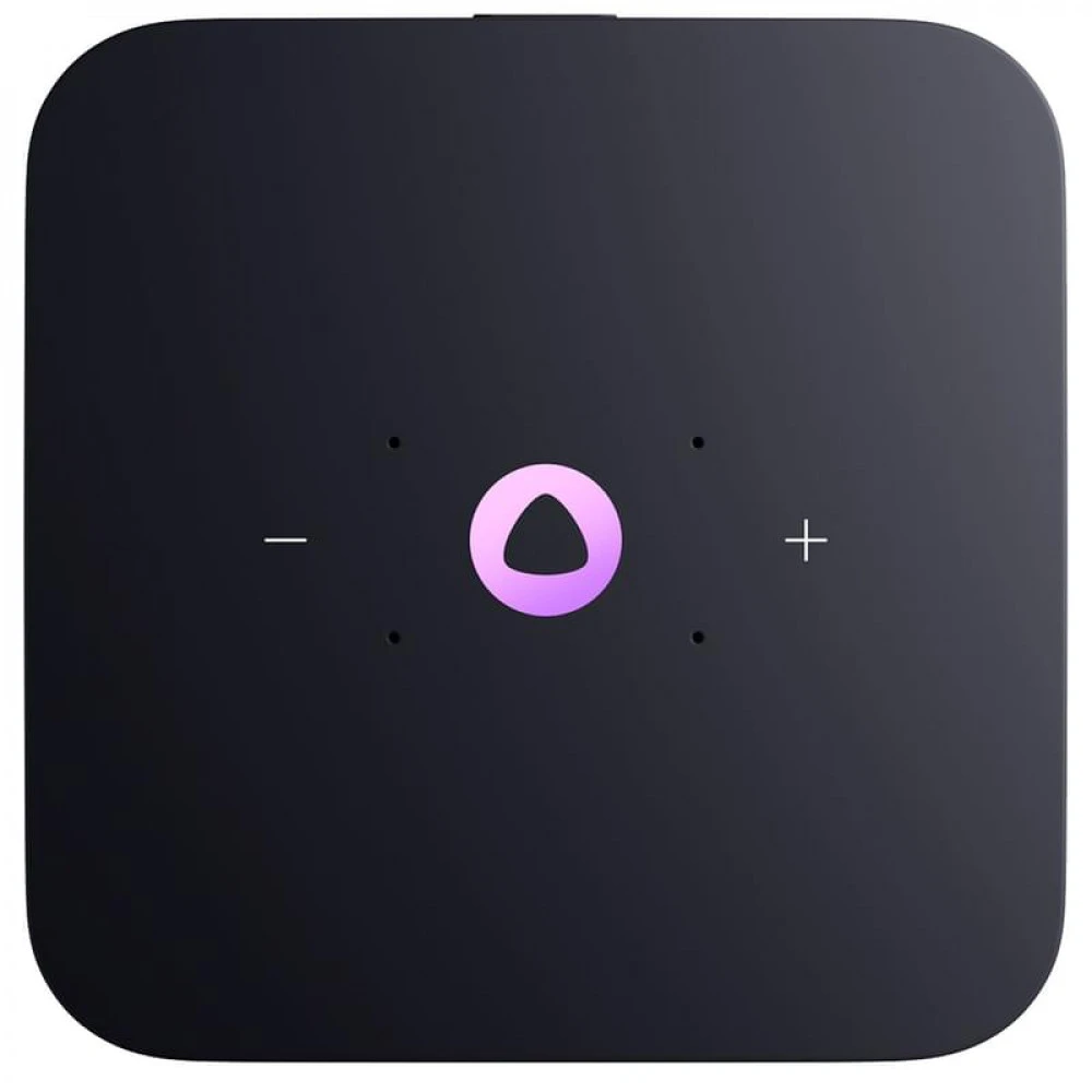 Яндекс Станция Миди с Zigbee YNDX-00054GRY