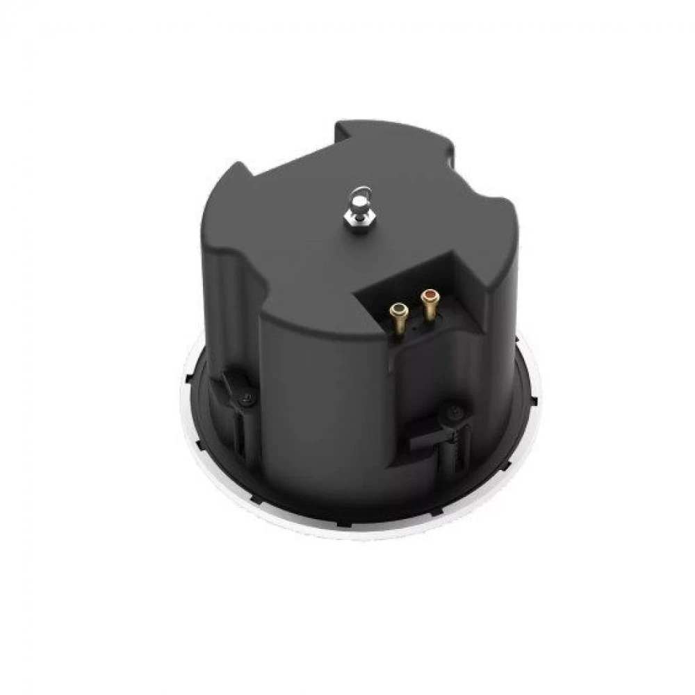 Громкоговоритель Nearity AW-ASP100