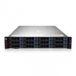 Серверная платформа Gooxi SL201-D12R-NV-G3 (Rack (2U))