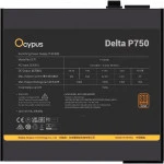 Блок питания Ocypus Delta P750 750W Black Delta-P750-B1FDBK024X-EU (750 Вт)