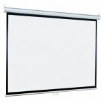 Экран Lumien Eco Picture LEP-100109