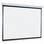 Проекционный экран Lumien Eco Picture LEP-100116