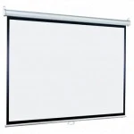 Проекционный экран Lumien Eco Picture LEP-100120