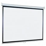 Проекционный экран Lumien Eco Picture LEP-100110