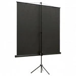 Проекционный экран ViewScreen TCL-1102