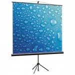 Проекционный экран ViewScreen TCL-1102