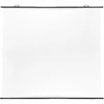 Экран Cactus CS-PSRM-150X150-BK