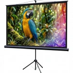 Проекционный экран Lumien Eco Picture LEV-100113