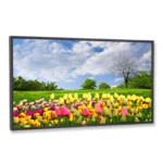 LED / LCD панель NEC MultiSync® X462HB 60003174 46 "
