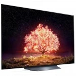 Телевизор LG OLED55B1RLA (55 ")