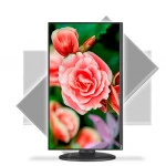 Монитор NEC E273F-BK (27 ", IPS, Full HD 1920x1080 (16:9), 75 Гц)