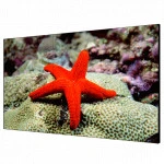 LED / LCD панель Hikvision DS-D2055LR-G 55 "