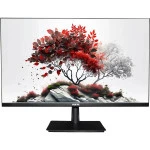 Монитор RDW Computers RDW2701K 27 ", IPS, Full HD 1920x1080 (16:9), 60 Гц