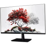 Монитор RDW Computers RDW2701K 27 ", IPS, Full HD 1920x1080 (16:9), 60 Гц