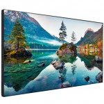 LED / LCD панель Vestel WU49B-2H (49 ")