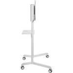 Опция к телевизору Cactus CS-ST1146WT