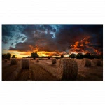 LED / LCD панель Samsung VM55B-U 55 "