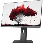 Монитор RDW Computers RDW2402K RDW2402K/F00B3 23.8 ", IPS, Full HD 1920x1080 (16:9), 75 Гц