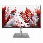 Монитор RDW Computers 2407 2407K/F29B3120V2A1B 23.8 ", IPS, Full HD 1920x1080 (16:9), 120 Гц