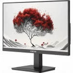 Монитор Aardwolf 2401K/F00B3120V2A1B 23.8 ", IPS, Full HD 1920x1080 (16:9), 120 Гц
