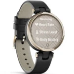 Garmin Lily Classic Black 010-02384-B1