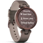 Garmin Lily Classic paloma 1319937