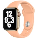 Аксессуары для смартфона Apple Ремешок 40mm Cantaloupe Sport Band - Regular MJK33ZM/A
