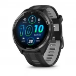 Garmin 965 010-02809-10