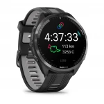 Garmin 965 010-02809-10