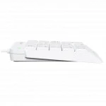 Клавиатура A4Tech Fstyler FK13 FK13 USB ( WHITE ) Проводная, USB