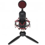 Микрофон Ritmix RDM-230 USB Eloquence