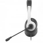 Наушники A4Tech Fstyler FH100U FH100U (PANDA)