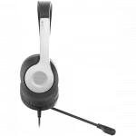 Наушники A4Tech Fstyler FH100U FH100U (PANDA)