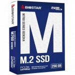 Жесткий диск BIOSTAR M760 M760-256GB SSD (твердотельные), 256 ГБ, M.2