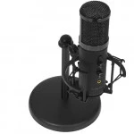 Микрофон Ritmix RDM-260 USB Eloquence 80000959