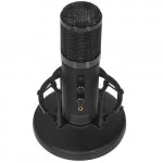 Микрофон Ritmix RDM-260 USB Eloquence 80000959