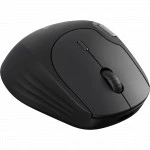 Мышь Rapoo MT560
