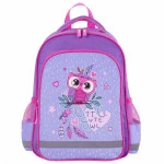 Сумка для ноутбука Пифагор School Owlet 229991 13