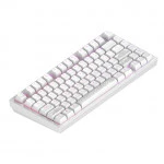 Клавиатура Dark Project Project ALU81A Terra Nostra White DPKB_NOSTRA_81_ANSI_WHITE Проводная, USB