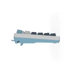 Клавиатура Bloody FS300 PANDA SNOWBOARDING FS300/PANDA SNOWBOARDING (Проводная, USB)