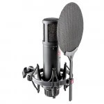 Микрофон sE Electronics SE 2200