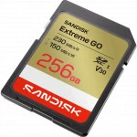 Флеш (Flash) карты SanDisk SDSDXGN-256G-GNCIN 256 ГБ