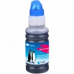 Струйный картридж G&G GG-C13T00R240