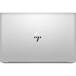 Ноутбук HP EliteBook 850 G7 250B0EA (15.6 ", FHD 1920x1080 (16:9), Core i7, 8 Гб, SSD)
