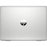 Ноутбук HP ProBook 445 G7 278B9EC (14 ", FHD 1920x1080 (16:9), Ryzen 5, 8 Гб, SSD)