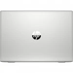 Ноутбук HP ProBook 455 G7 1L3H0EA (15.6 ", FHD 1920x1080 (16:9), Ryzen 7, 8 Гб, SSD)