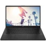 Ноутбук HP 17-cp0067ur 4L5W1EA (17.3 ", HD+ 1600х900 (16:9), Ryzen 3, 4 Гб, SSD)